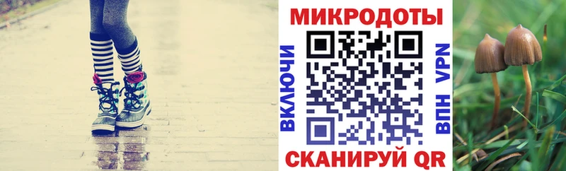 Галлюциногенные грибы мицелий  Чёрмоз 