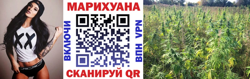 Бошки Шишки конопля  Чёрмоз 